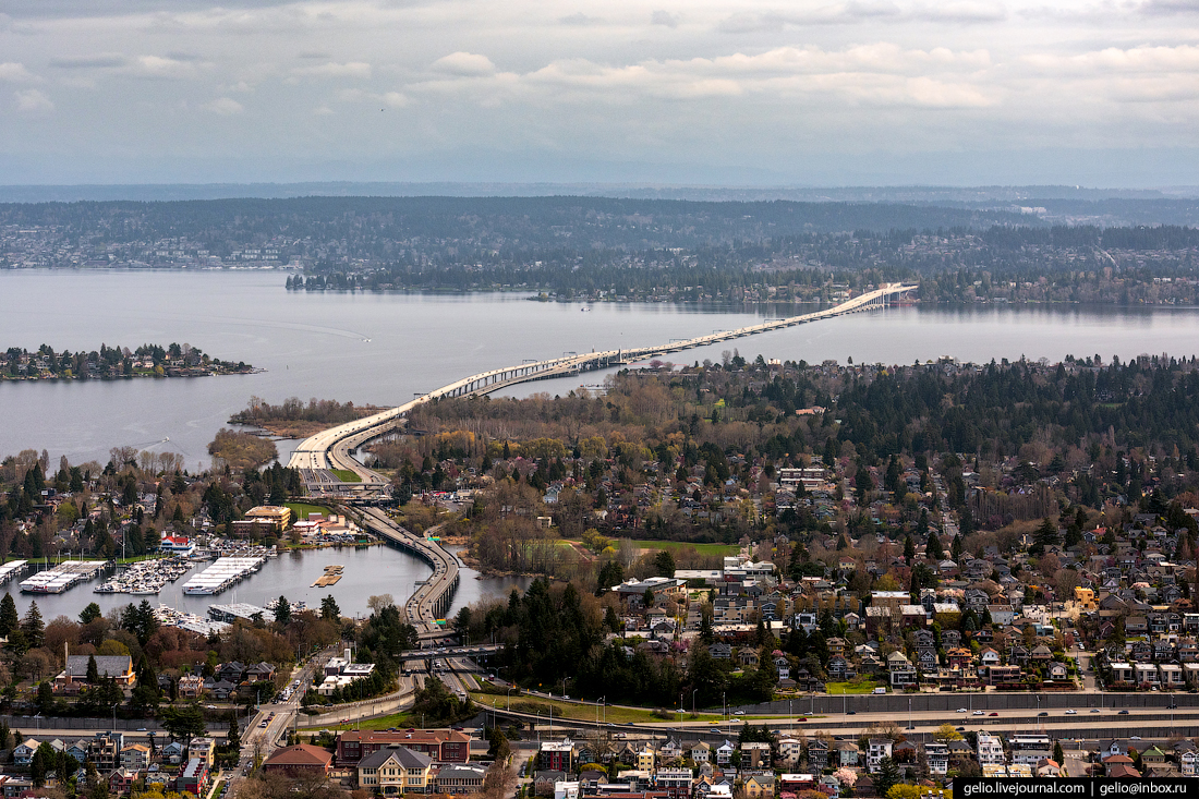 North Seattle Escort