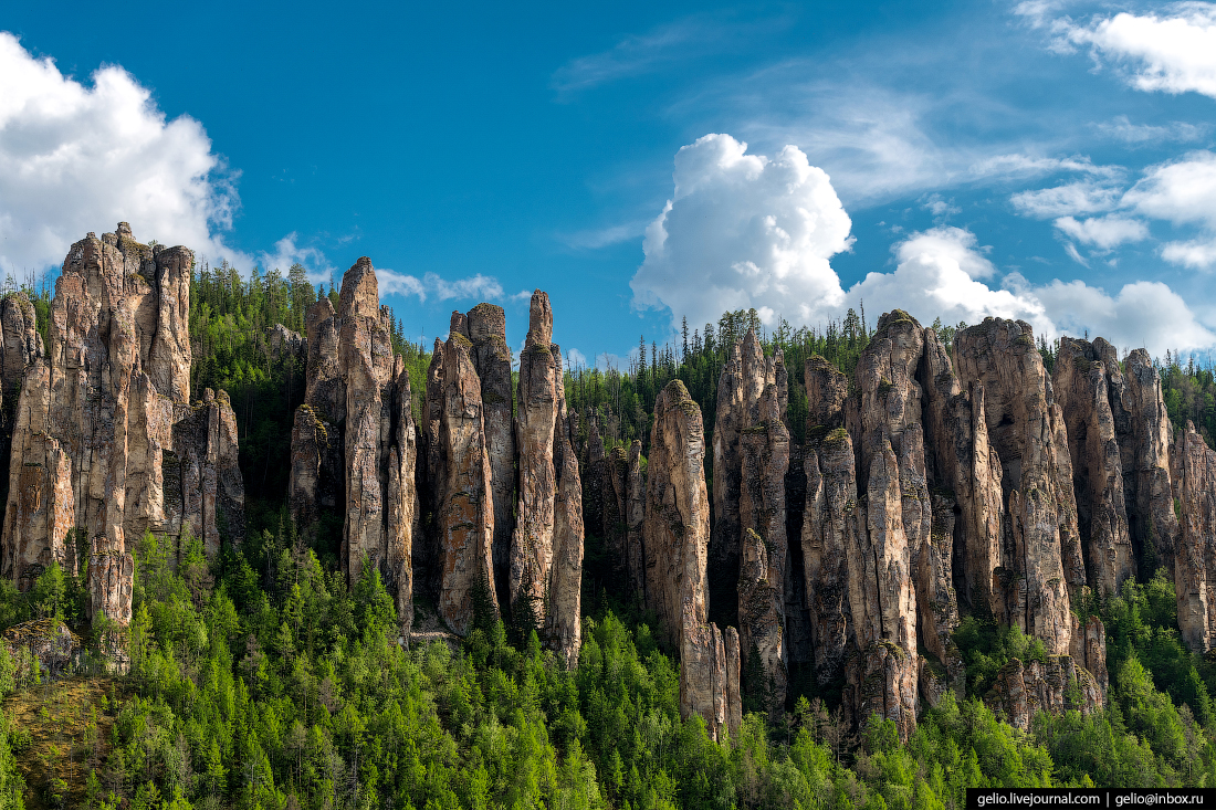 Ленские столбы — каменный лес Якутии столбы, парка, только, скалы, можно, территории, Якутии, столбов, Ленские, вдоль, здесь, туристов, около, назад, Ленских, которые, которое, животных, людей, градусов