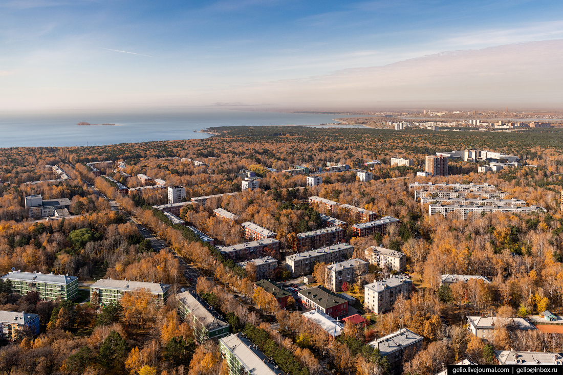 Академгородок Фотографии Новосибирск с высоты